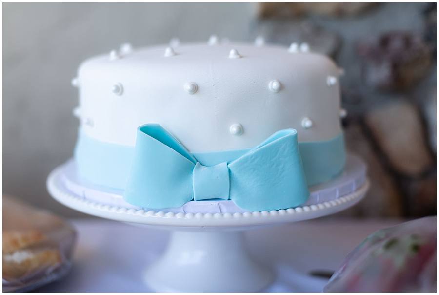 Blue and White Baby Boy Sprinkle Shower