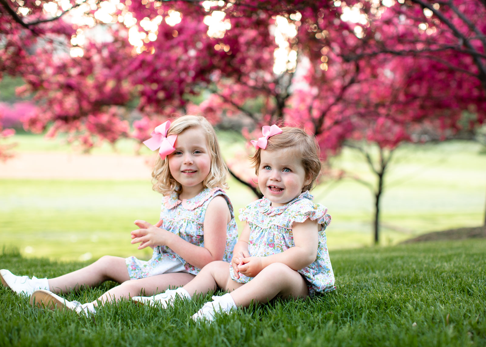Chicago Family Photos in Grant Park's Spring Flowering Trees