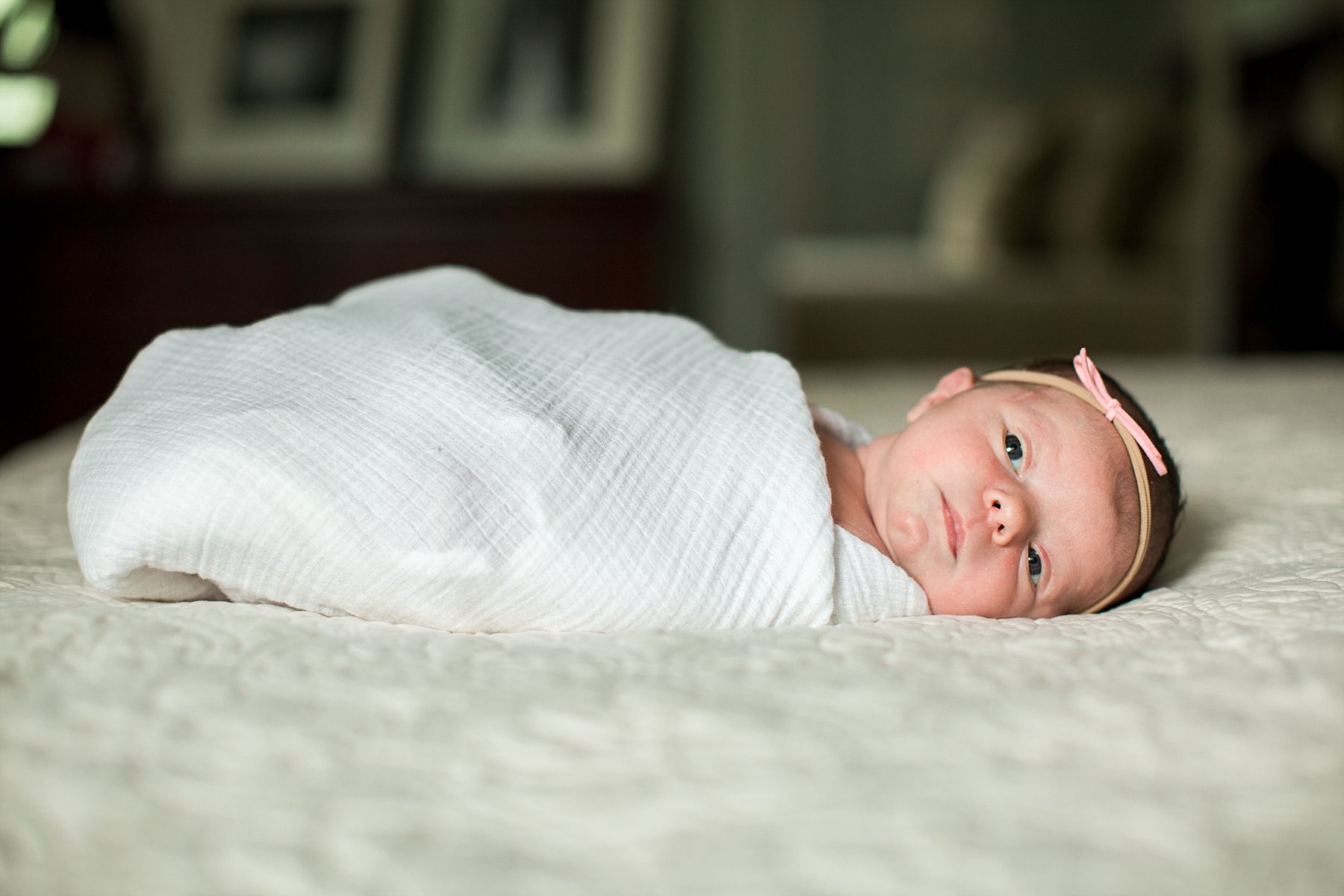 barrington newborn photographer