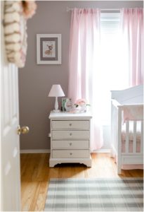 Classic and Southern Pink Toile Gingham Baby Girl Nursery